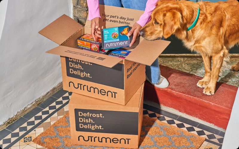 Nutriment’s new identity through Robot Food demystifies raw pet food