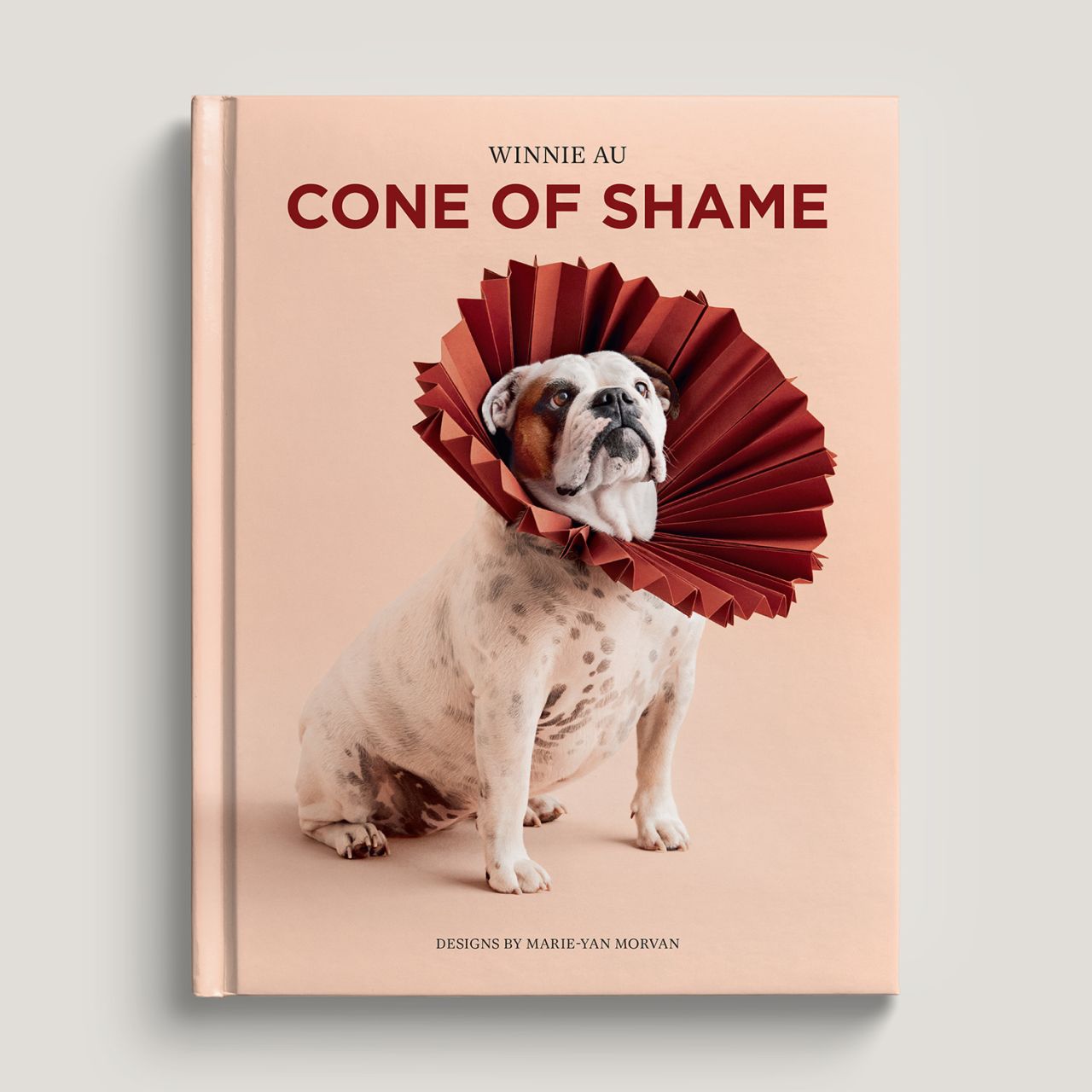 Images reprinted from Cone of Shame by Winnie Au © 2024, designs by Marie-Yan Morvan © 2024. Published by Union Square & Co.