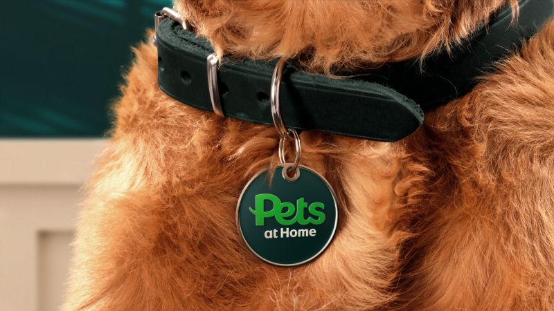 Pets at home sales marketing