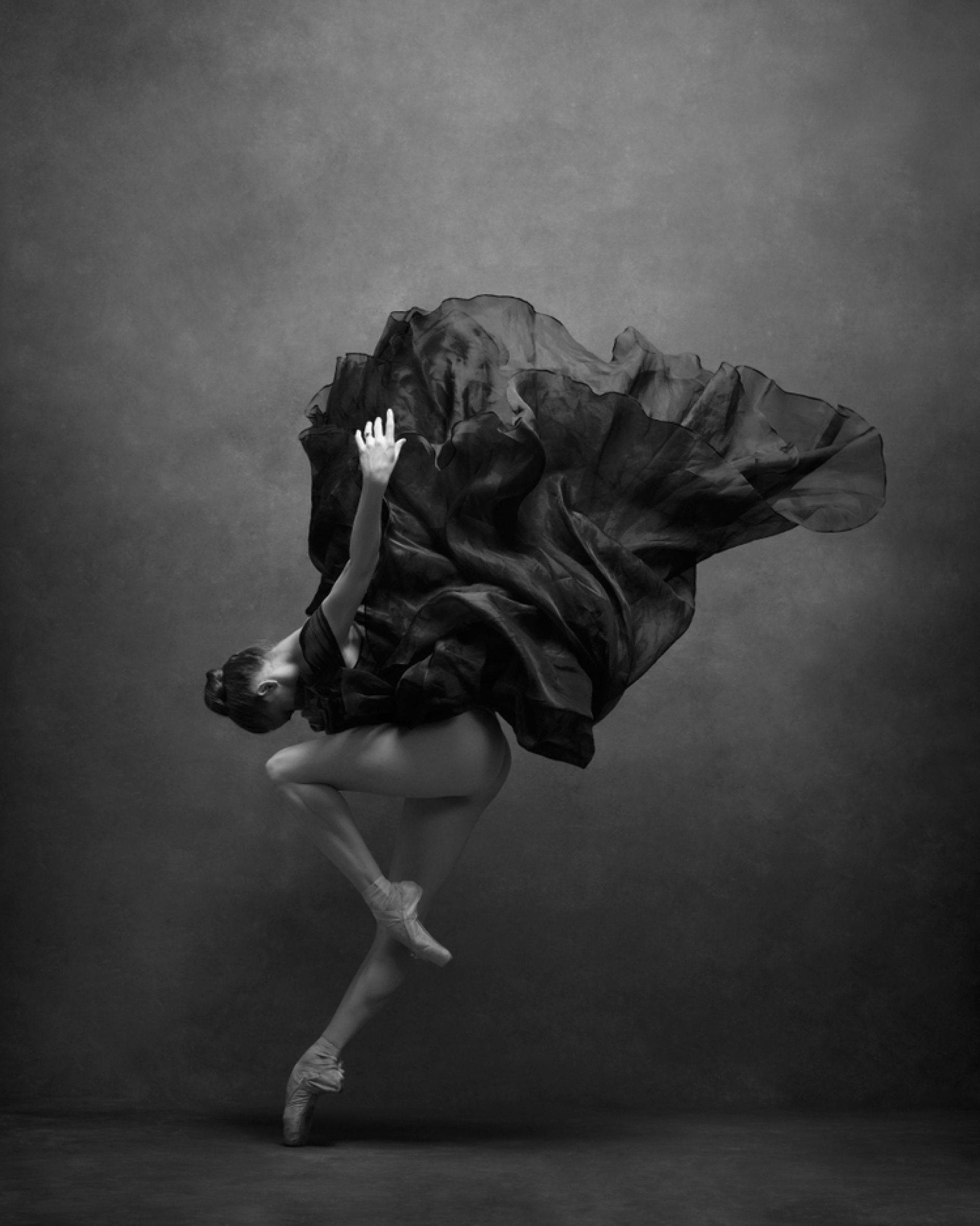 The Art of Movement: Breathtaking photographs of incredible dancers in ...