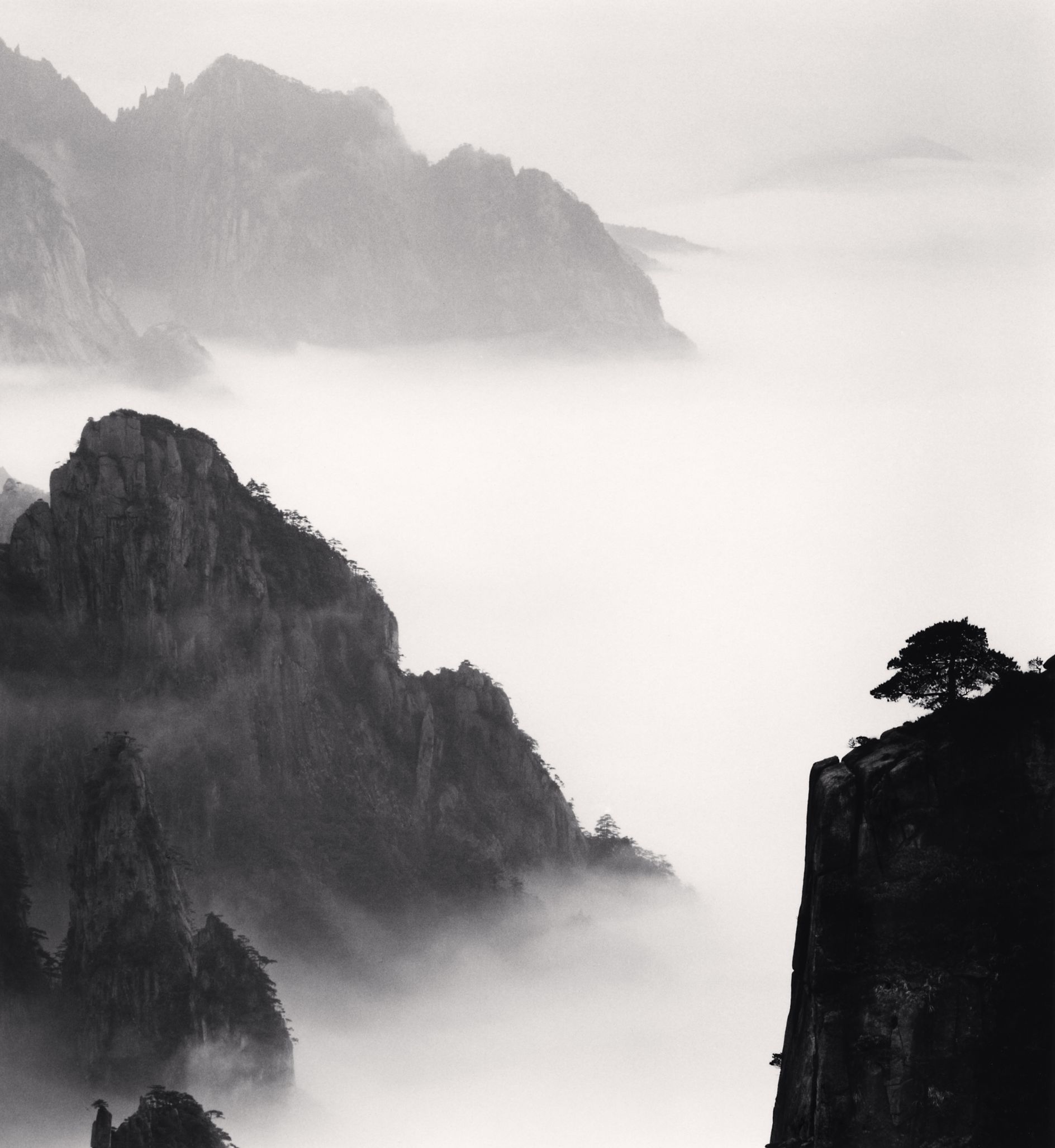 Philosopher's Tree by Michael Kenna is a spiritual journey in ...