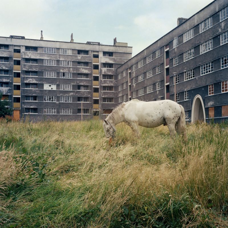 Photographs by Peter Mitchell that document the demise of