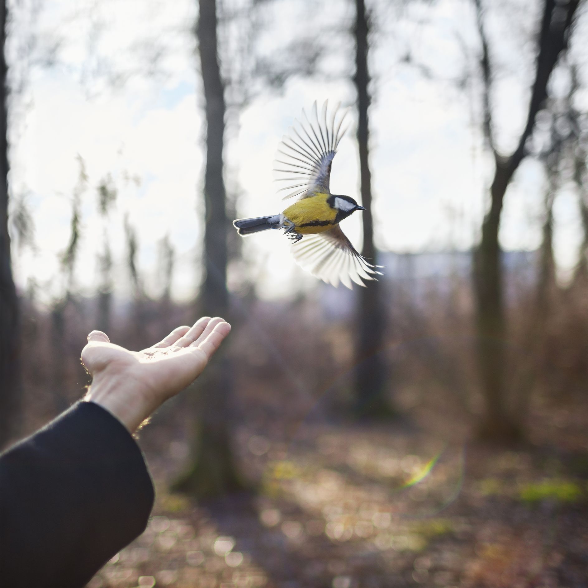 Artist and photographer Cig Harvey is Holding the Blue for her first UK ...