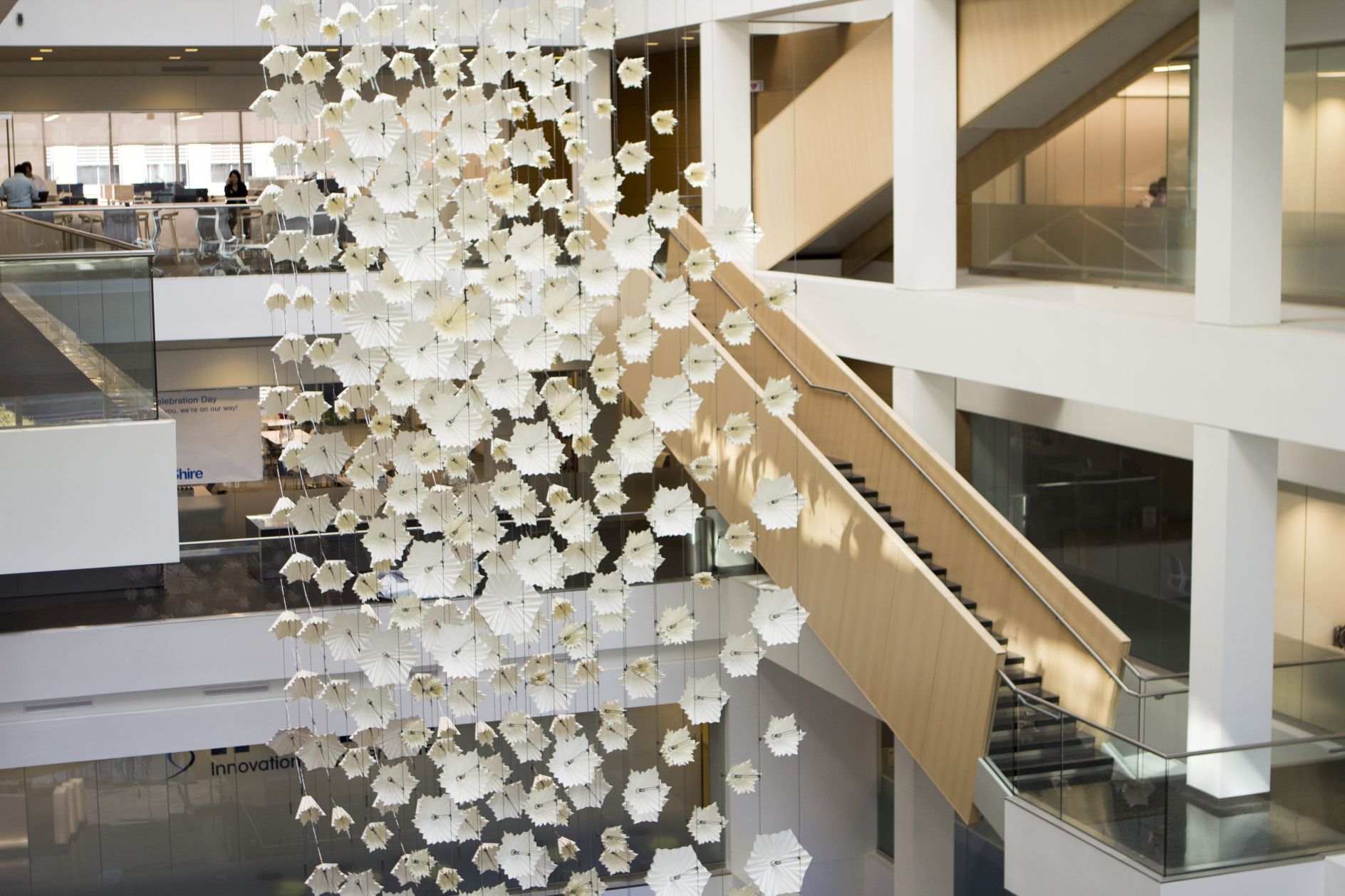 Mesmerising kinetic sculpture that mimics the movement of a flock of ...