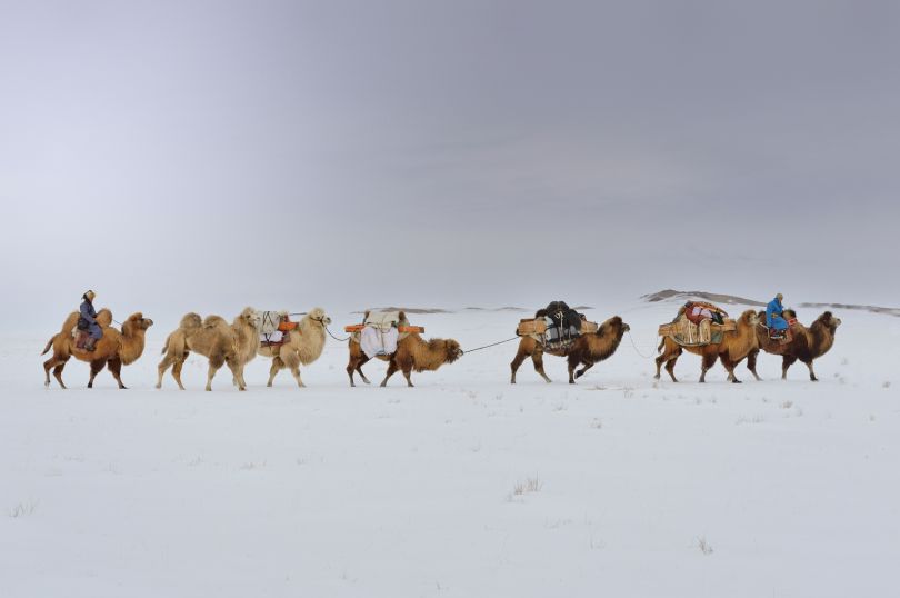 A photographic journey through Mongolia with Marc Progin takes us back ...