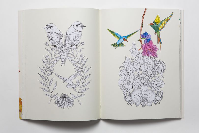 Download Birdtopia A Beautifully Illustrated Colouring Book By The Talented Daisy Fletcher Creative Boom