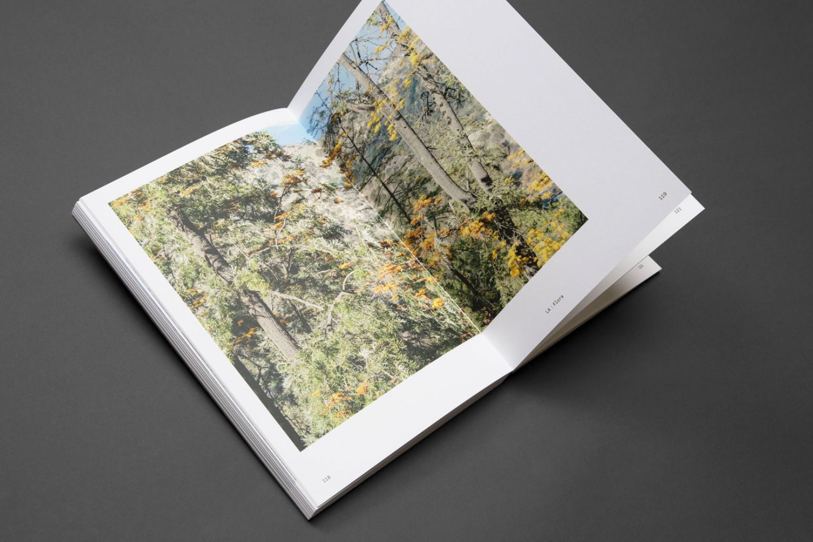 Voyage: Beautiful book of photography features 90 images from nine ...