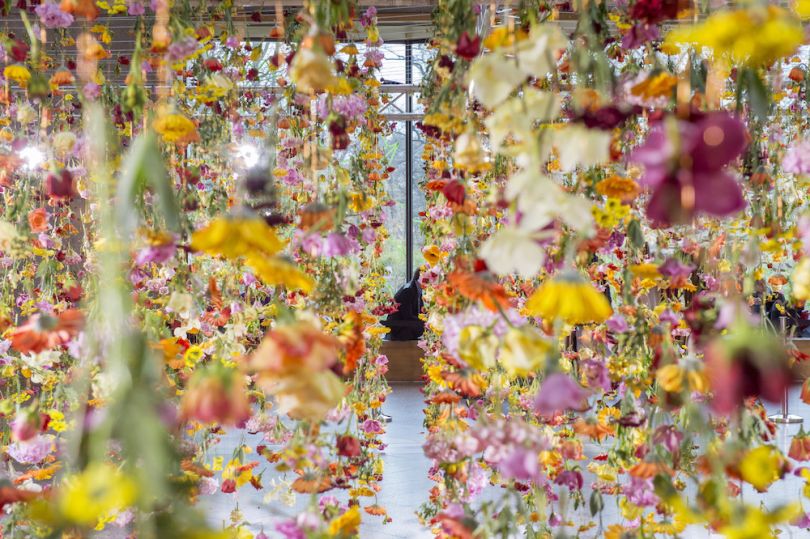 Spring bursts to life in Berlin as 30,000 flowers create a beautiful ...