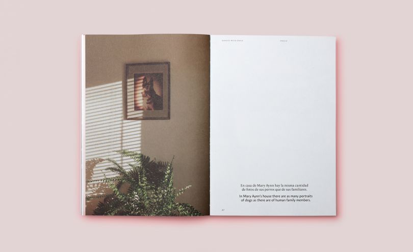 Perdiz: A magazine about people and the things that make us happy ...