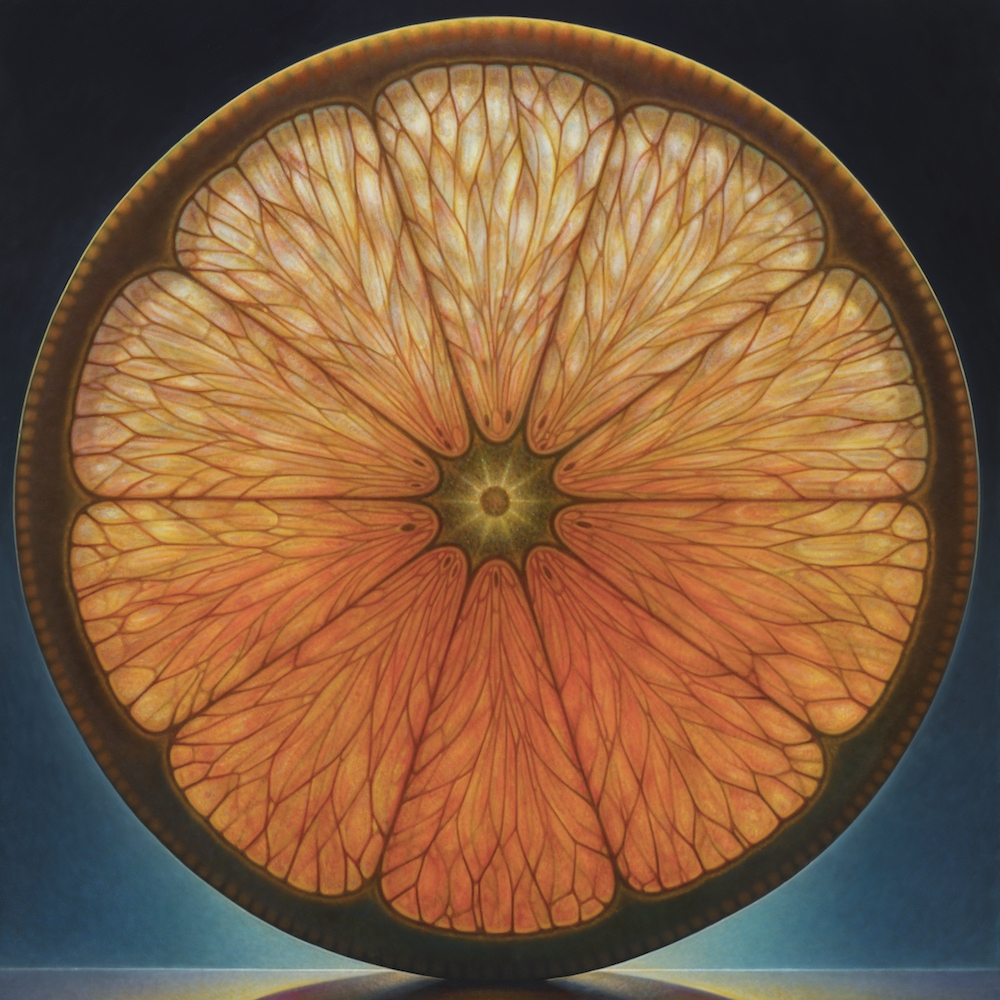 Dennis Wojtkiewicz's giant, appetising paintings of sliced citrus fruit ...