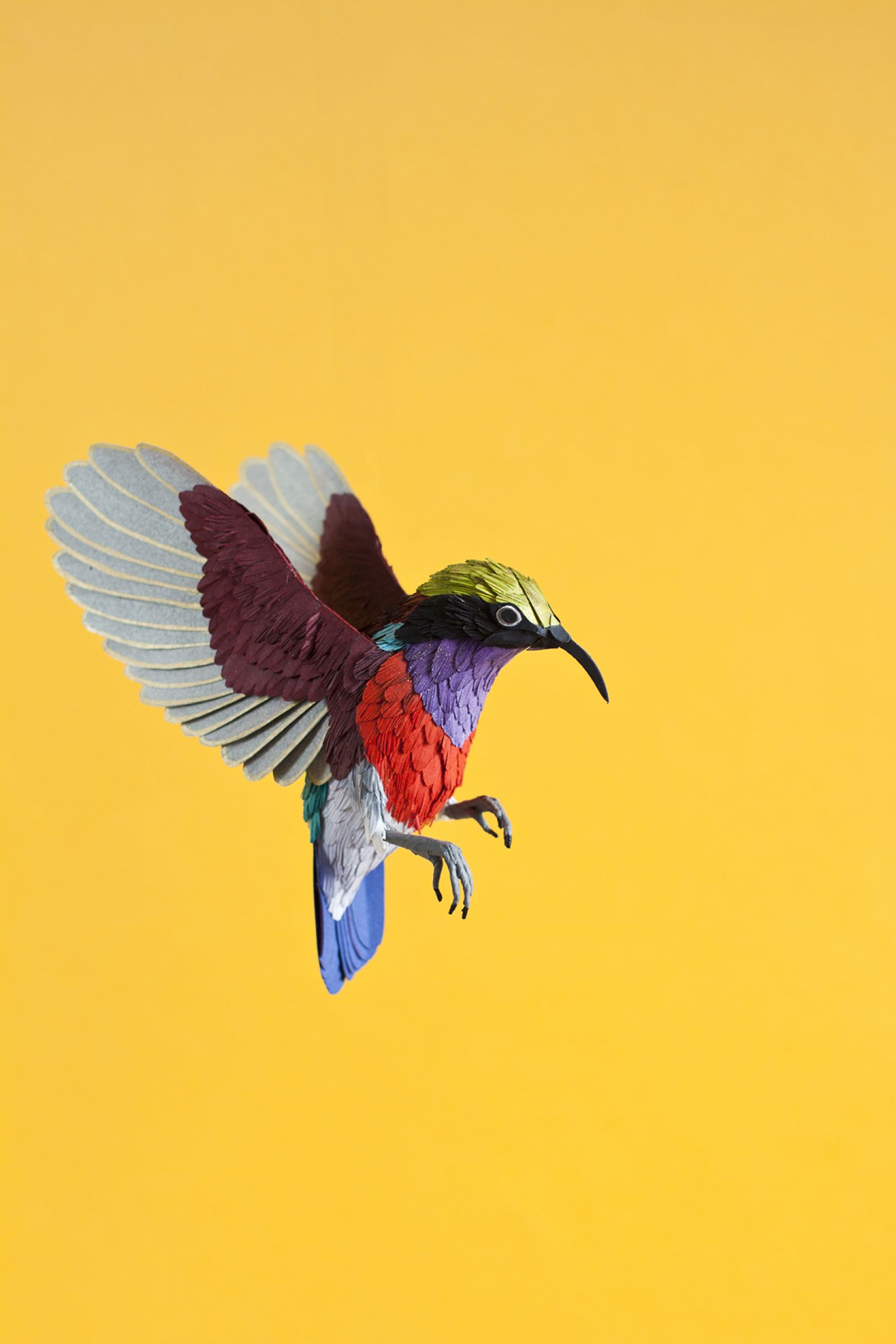 Birds: Lovingly Crafted Paper Sculptures Of Birds From Around The World 