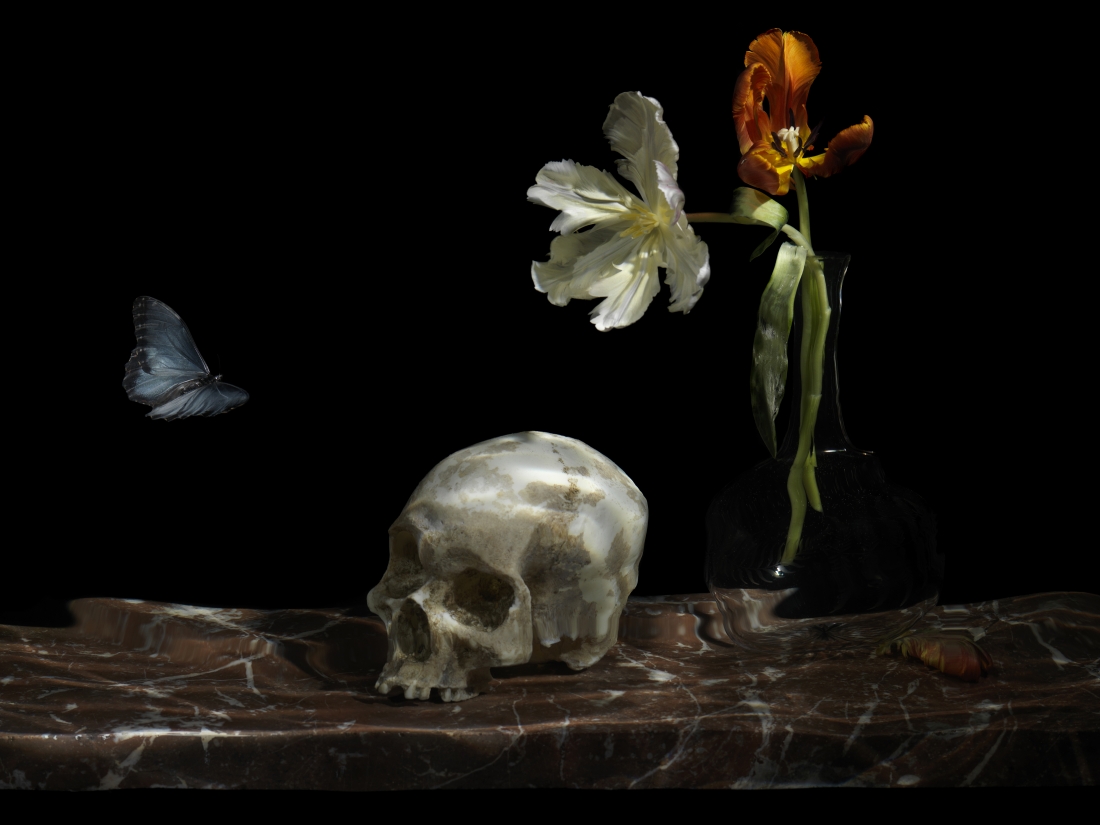 Its A Matter Of Life And Death As Nature Morte Takes A - 