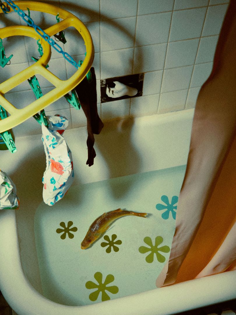 A Carp in the Tub: the photography project tracing fish, and adoption ...