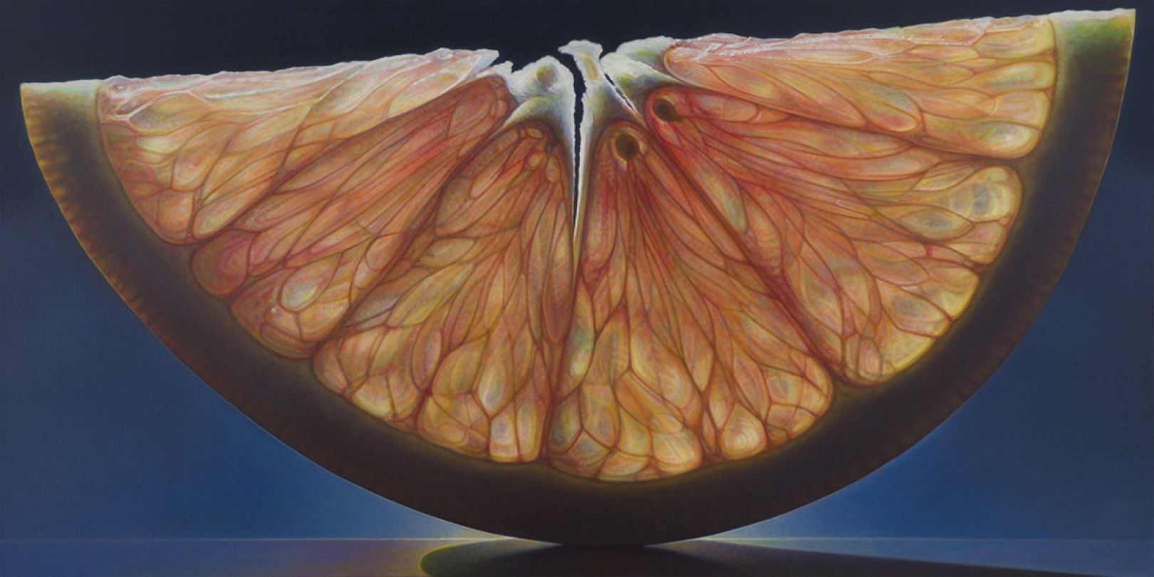 Dennis Wojtkiewicz's giant, appetising paintings of sliced citrus fruit ...