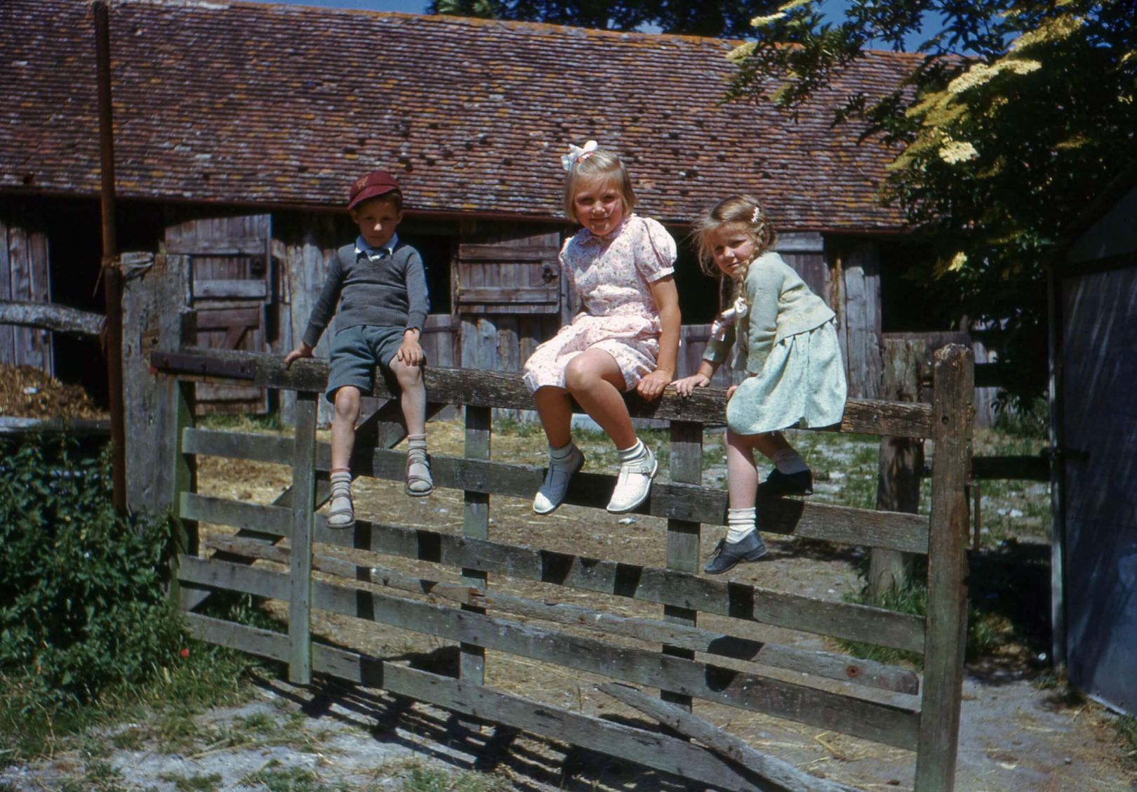 Делать цветные фотографии. Фотографии й. Хеле. Farmers 1950s. Цветные фотографии й. Хеле.