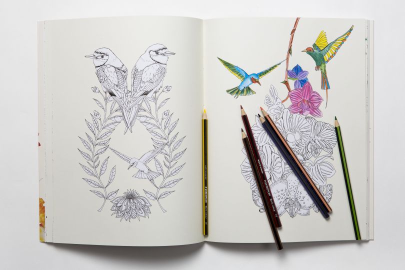 Download Birdtopia A Beautifully Illustrated Colouring Book By The Talented Daisy Fletcher Creative Boom