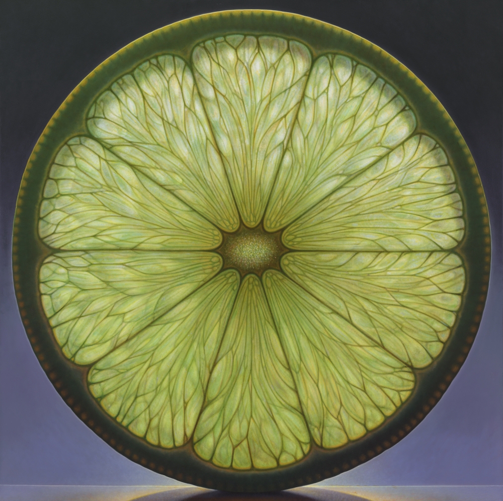 Dennis Wojtkiewicz's giant, appetising paintings of sliced citrus fruit ...