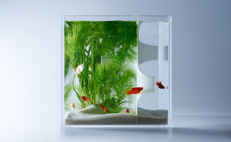 Waterscapes: Minimalist aquariums that float the idea of underwater 3D ...